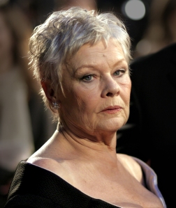 Judi Dench plays the leading role in Philomena. Dench has been nominated for several awards for the role. 